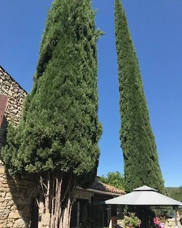 Sous Les Cypres